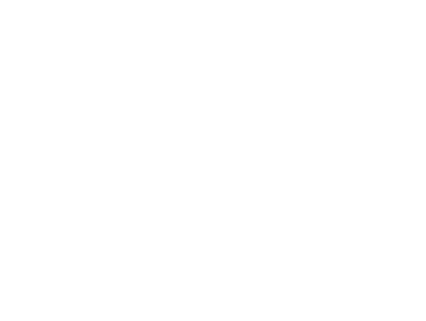 Cornerstone Transparent Lion